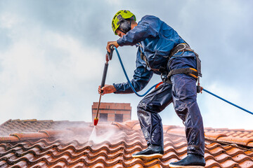 The Value of Roof Cleaning